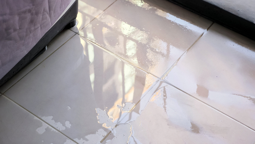 Where can I find reliable specialists in slab leak detection in Chula Vista, CA