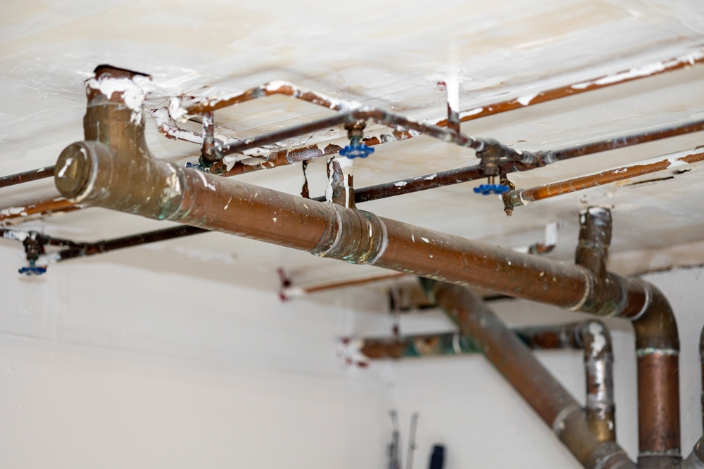 How do I find professional commercial plumbing services in Chula Vista, CA, and the vicinity?